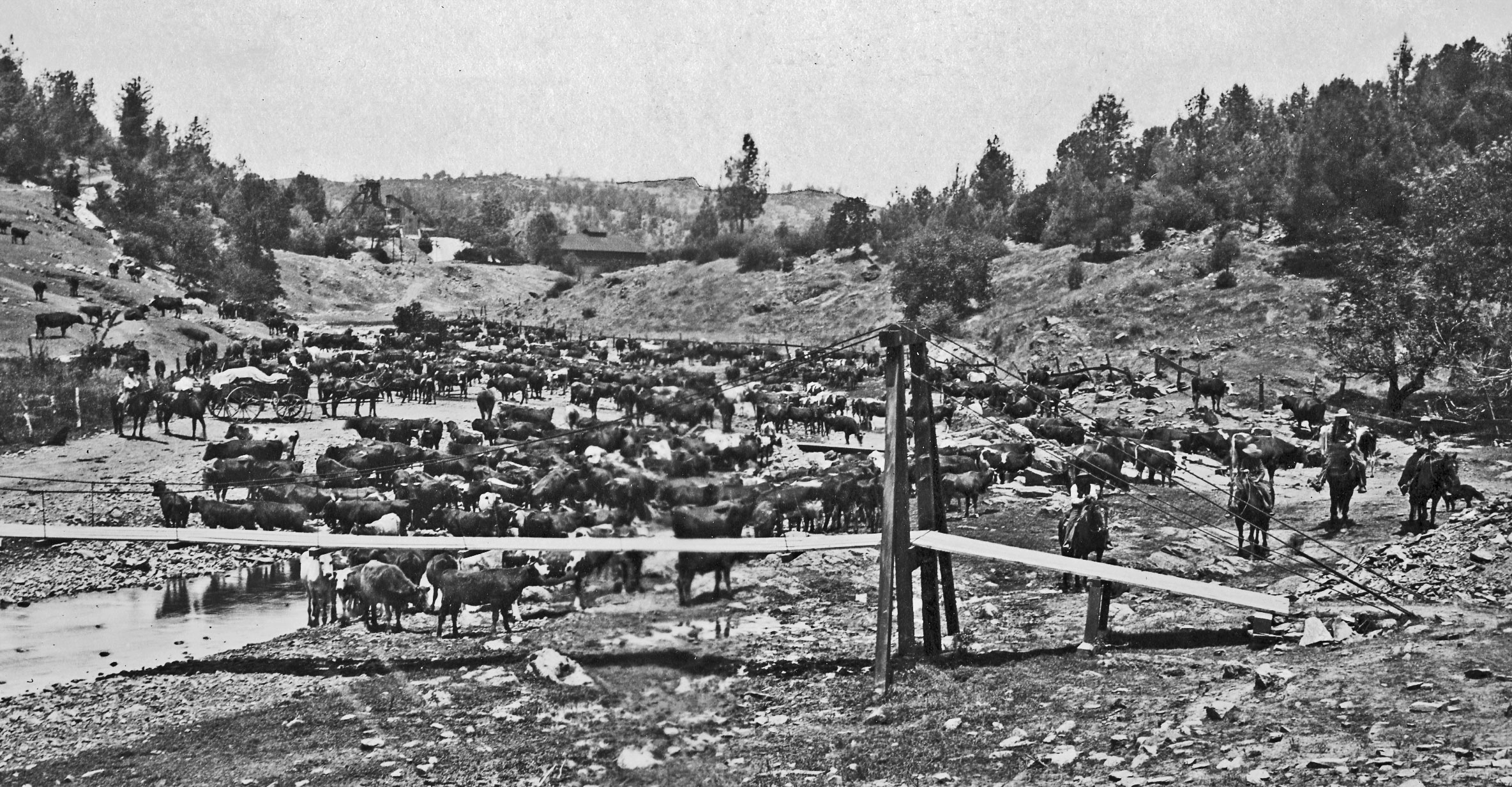 Agriculture And Ranching – Tuolumne County Historical Society